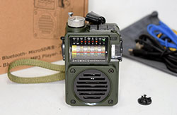 ZHIWHIS WZS-700�@���ړI���W�I